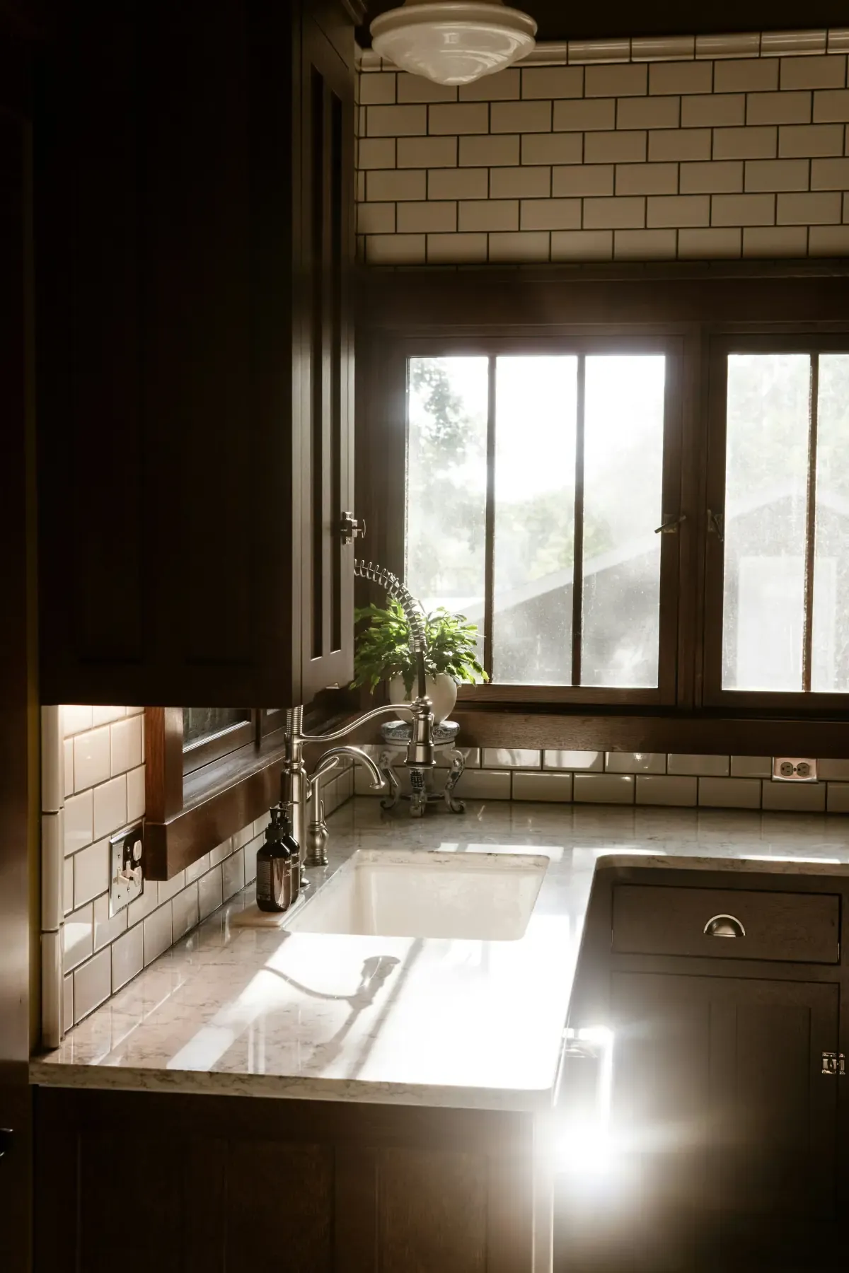 Modern dark-wood kitchen with designer sink and cabinetry